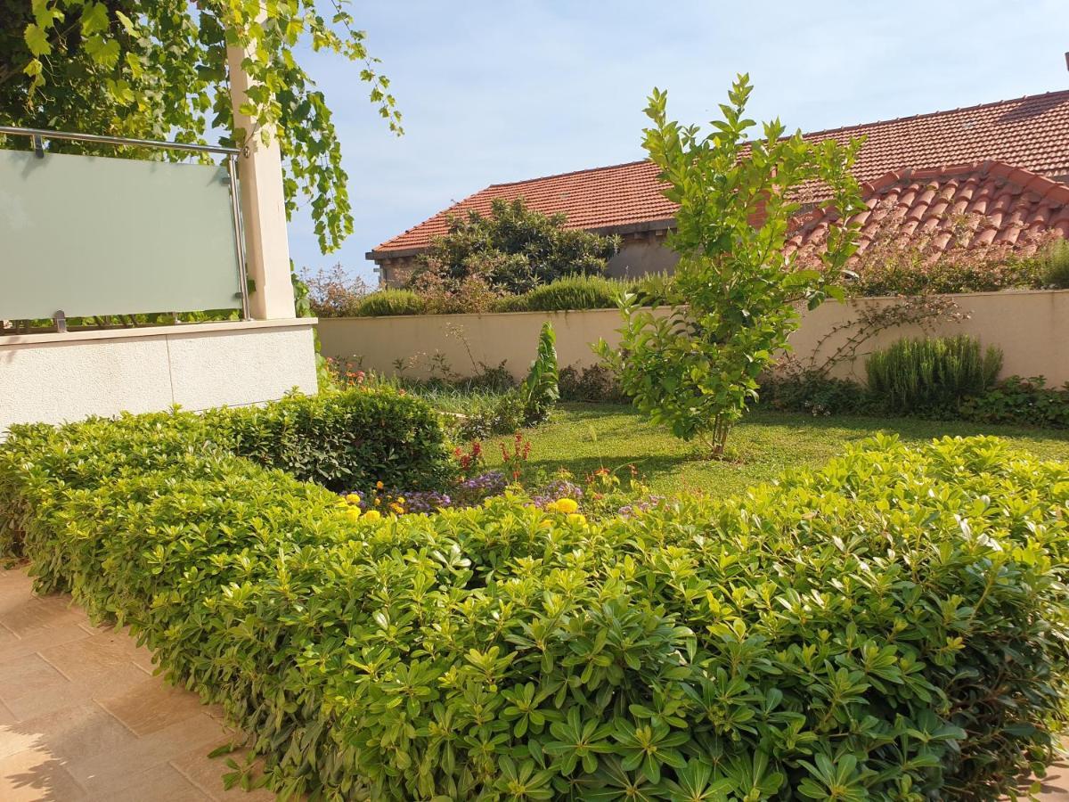Abelia, Two Terraces, Hot Tub, Free Parking Apartment Dubrovnik Bagian luar foto